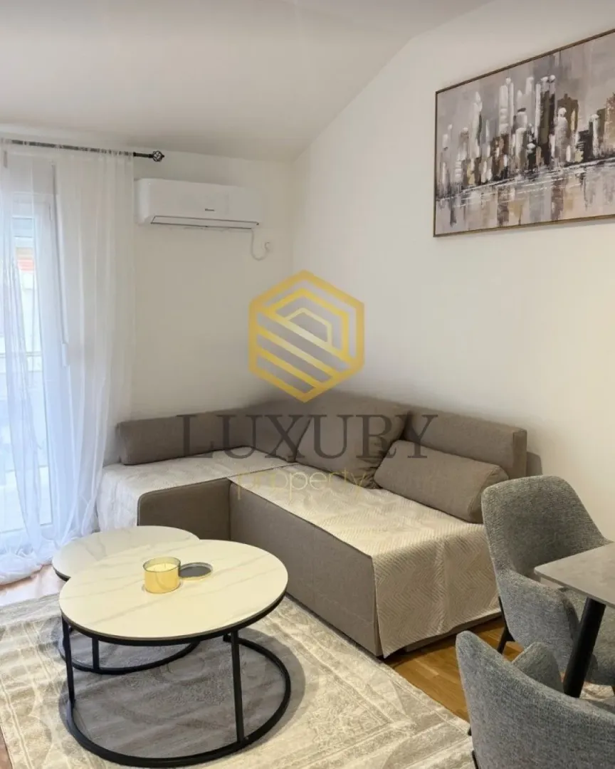 Izdavanje, jednosoban stan, 40m², Zagorič, Podgorica