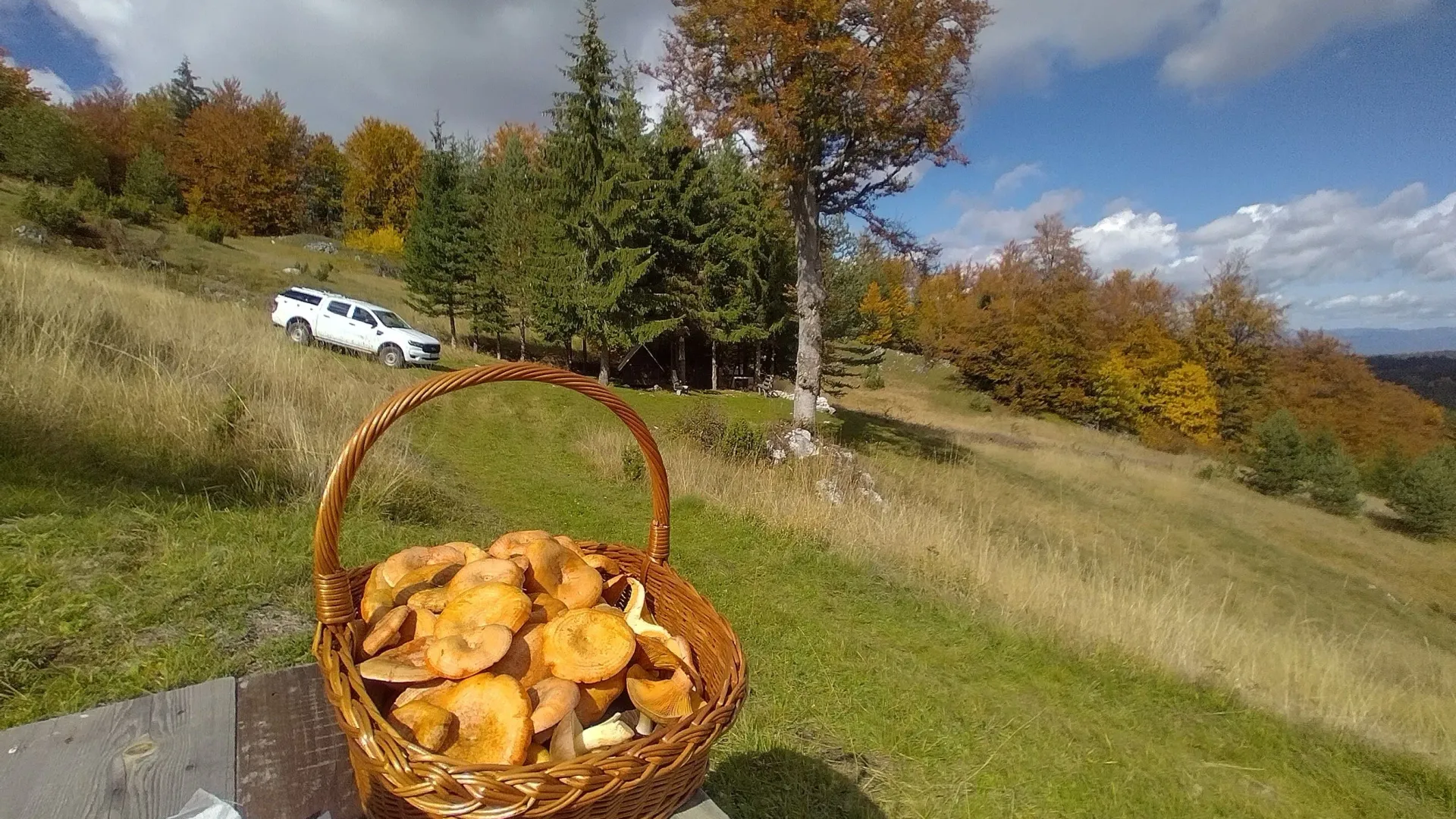 Prodaja, plac, 7000m², Mokra gora, Tara