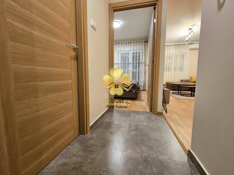 Izdavanje, jednosoban stan, 45m², Pobrežje, Podgorica - image 5