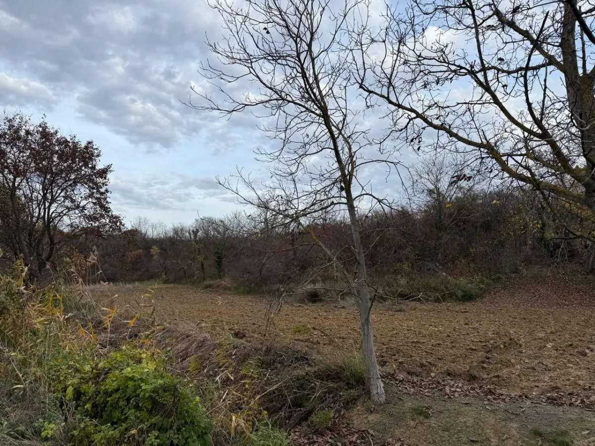 Prodaja, plac, 24207m², Beočić, Rekovac