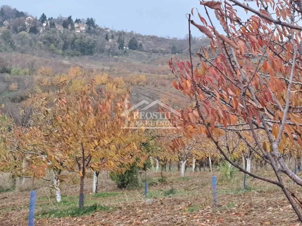 Prodaja, plac, 3650m², Ritopek, Grocka