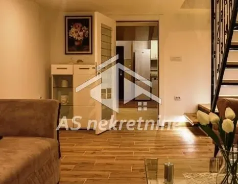 Izdavanje, stan, 74m², Južni Bulevar, Vračar Sve Podlokacije - image 4