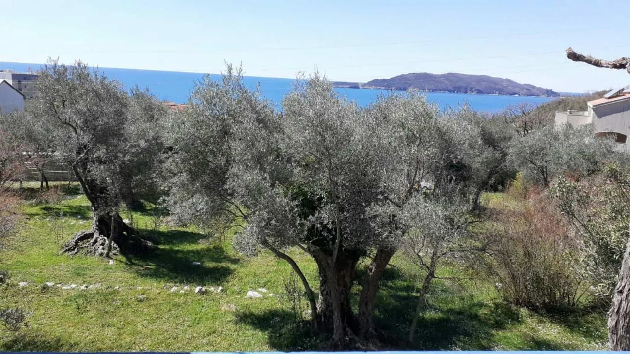 Sale, house, 270m², Kamenovo, Budva