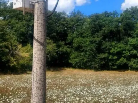 Prodaja, plac, 7279m², Glibavac, Nikšić - image 5