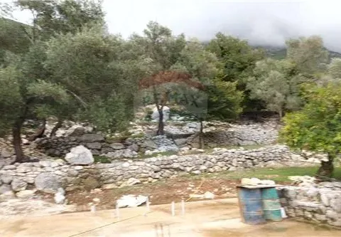 Prodaja, plac, Risan, Kotor - image 13