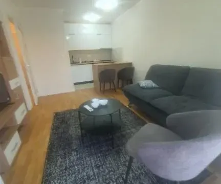 Izdavanje, jednosoban stan, 45m², Pobrežje, Podgorica - image 4