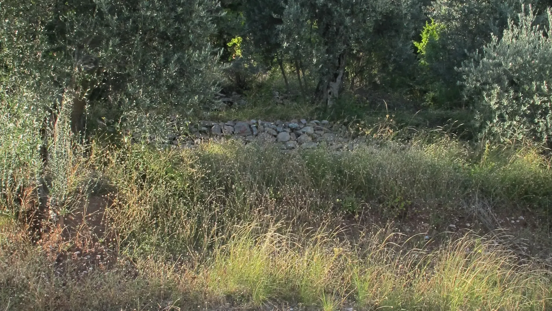 Prodaja, plac, 800m², Budva, Crna Gora