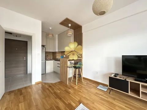 Izdavanje, garsonjera, 35m², Zabjelo, Podgorica - image 5