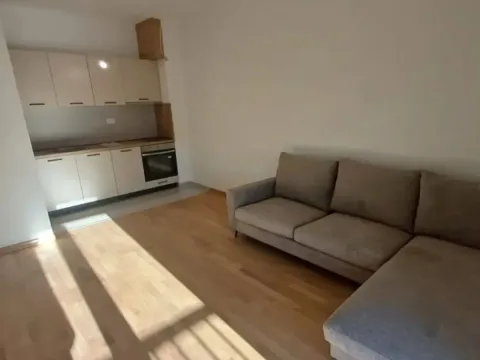 Sale, one bedroom apartment, 40m², Zabjelo, Podgorica - image 5