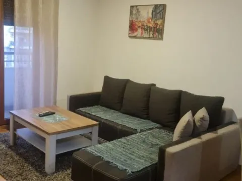 Prodaja, jednosoban stan, 41m², Stari Aerodrom, Podgorica - image 2