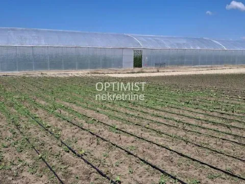 Prodaja, plac, 15000m², Belegiš, Stara Pazova - image 15