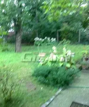 Prodaja, kuća, 165m², Savski Venac, Beograd - image 10