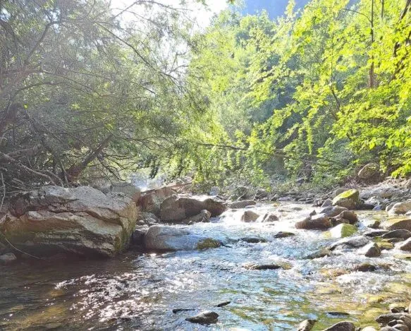 Sale, land lot, 1015m², Veruša, Podgorica