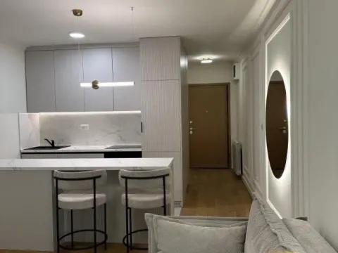 Izdavanje, jednosoban stan, 35m², Južni Bulevar, Vračar Sve Podlokacije - image 7