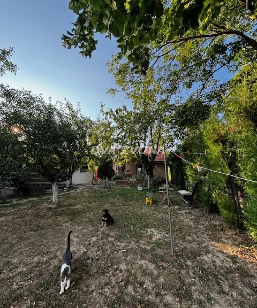 Prodaja, kuća, 37m², Čortanovci, Inđija