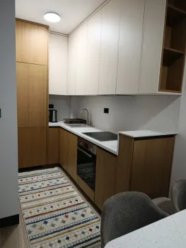 Rent, one bedroom apartment, 43m², Zagorič, Podgorica - image 3
