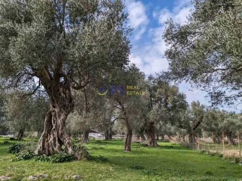 Prodaja, kuća, 267m², Bar, Crna Gora - image 6