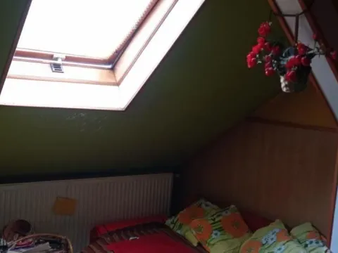 Sale, two bedroom apartment, 28m², Telep, Novi Sad Sve Podlokacije - image 2