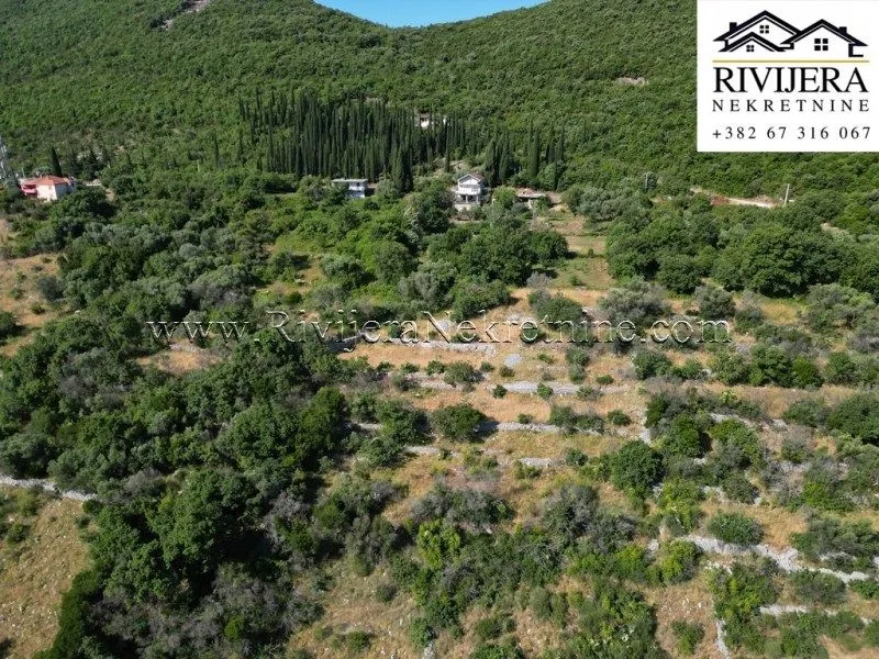 Prodaja, plac, 9401m², Žvinje, Herceg Novi