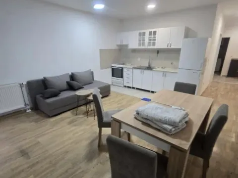 Prodaja, jednosoban stan, 42m², Adice, Novi Sad Sve Podlokacije - image 5