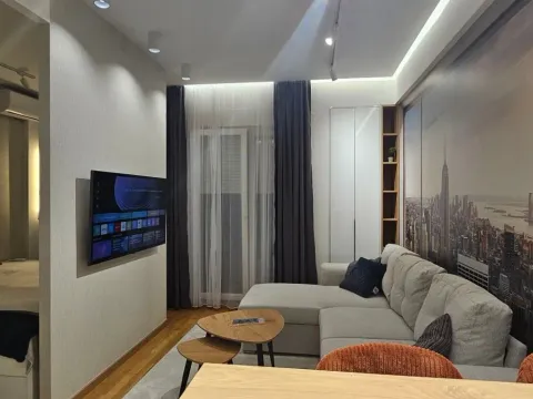 Rent, one bedroom apartment, 33m², Zabjelo, Podgorica - image 3