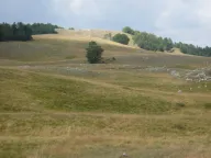 Prodaja, plac, 199938m², Donja Bukovica, Šavnik - image 4
