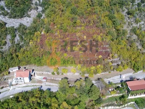 Sale, land lot, Cetinje, Crna Gora - image 5