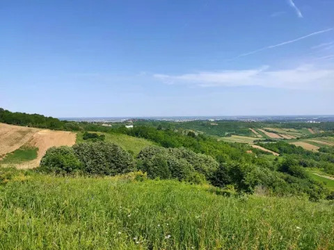 Prodaja, plac, 5600m², Novi Sad, Srbija - image 4