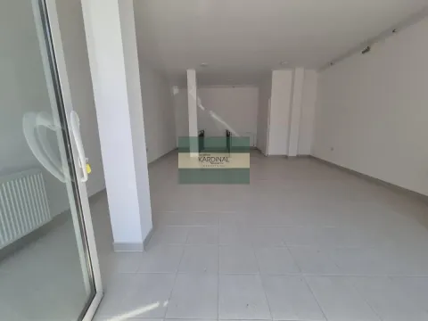 Rent, office space, 75m², Jagodina, Srbija - image 16