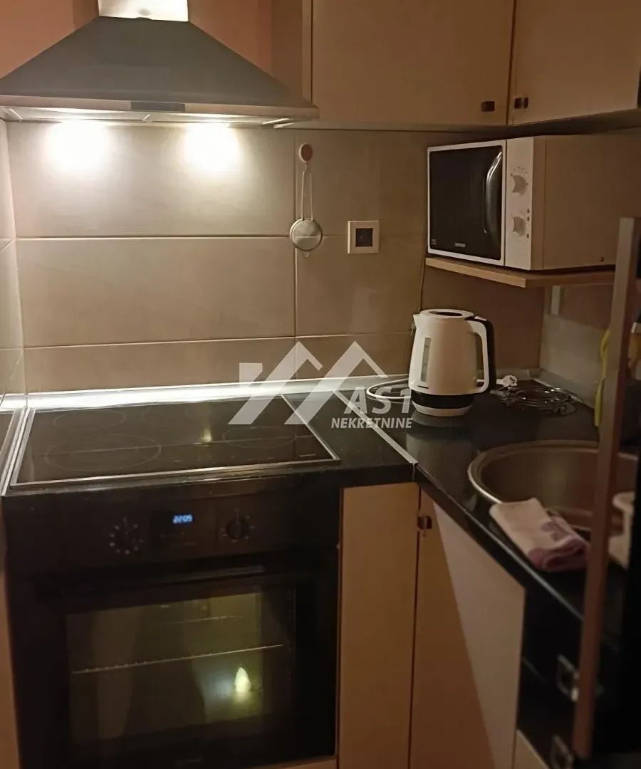 Izdavanje, dvosoban stan, 45m², Sajam, Novi Sad Sve Podlokacije