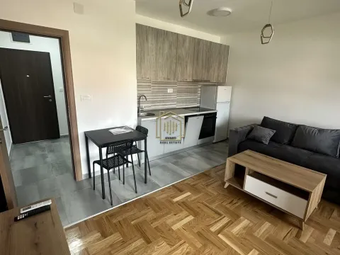 Rent, apartment, 34m², Zabjelo, Podgorica - image 3