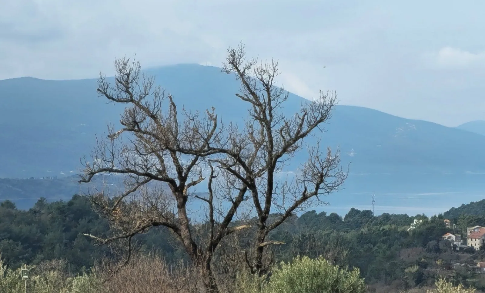 Prodaja, plac, 1105m², Kotor, Crna Gora