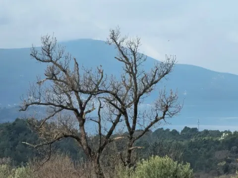 Prodaja, plac, 1105m², Kotor, Crna Gora - image 6