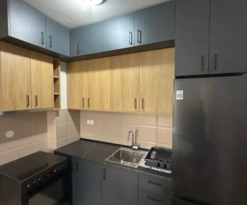 Izdavanje, jednosoban stan, 47m², Tuški Put, Podgorica