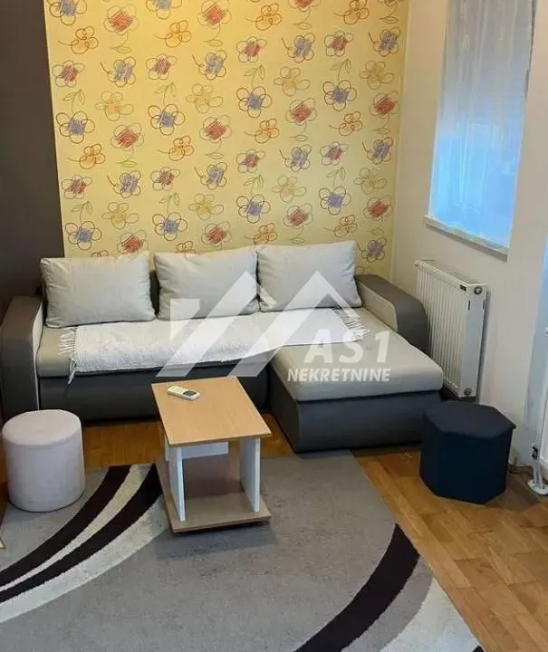 Izdavanje, stan, 25m², Bulevar Evrope, Novi Sad Sve Podlokacije