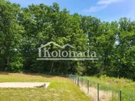 Prodaja, kuća, 340m², Sopot, Beograd - image 18