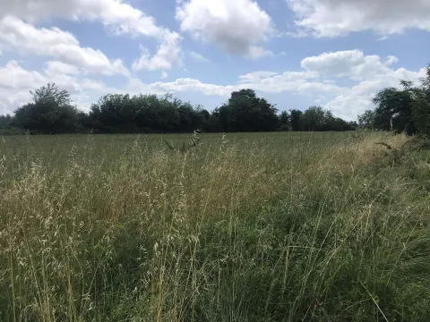 Prodaja, plac, 10000m², Podgorica, Crna Gora - image 4