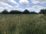 Prodaja, plac, 10000m², Podgorica, Crna Gora - image 4