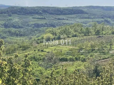 Prodaja, plac, 6200m², Grocka, Beograd - image 15