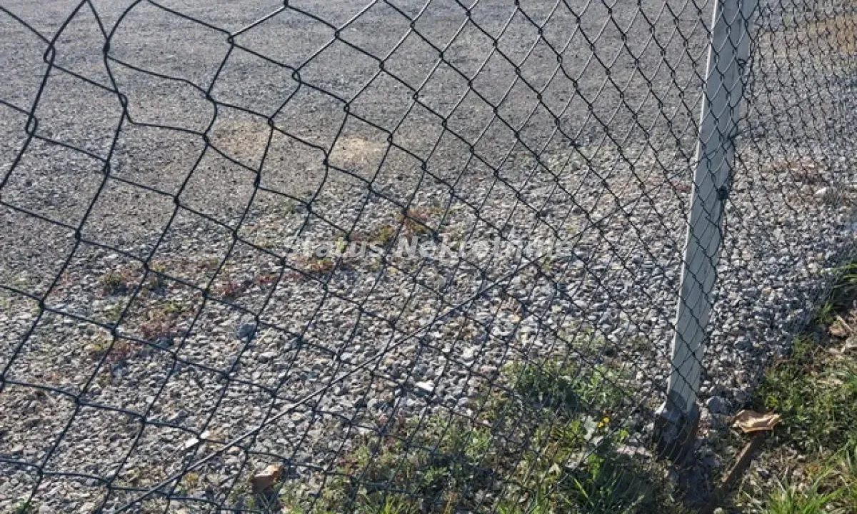 Izdavanje, plac, 1340m², Futog, Novi Sad Sve Podlokacije
