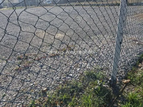 Izdavanje, plac, 1340m², Futog, Novi Sad Sve Podlokacije