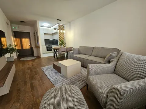 Izdavanje, jednosoban stan, 46m², Stari Aerodrom, Podgorica - image 2