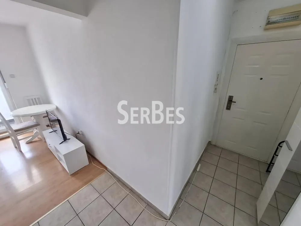 Izdavanje, stan, 27m², Nova Detelinara, Novi Sad Sve Podlokacije