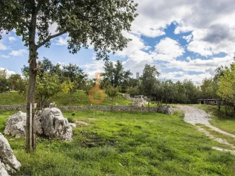 Prodaja, plac, 36246m², Danilovgrad, Crna Gora - image 3