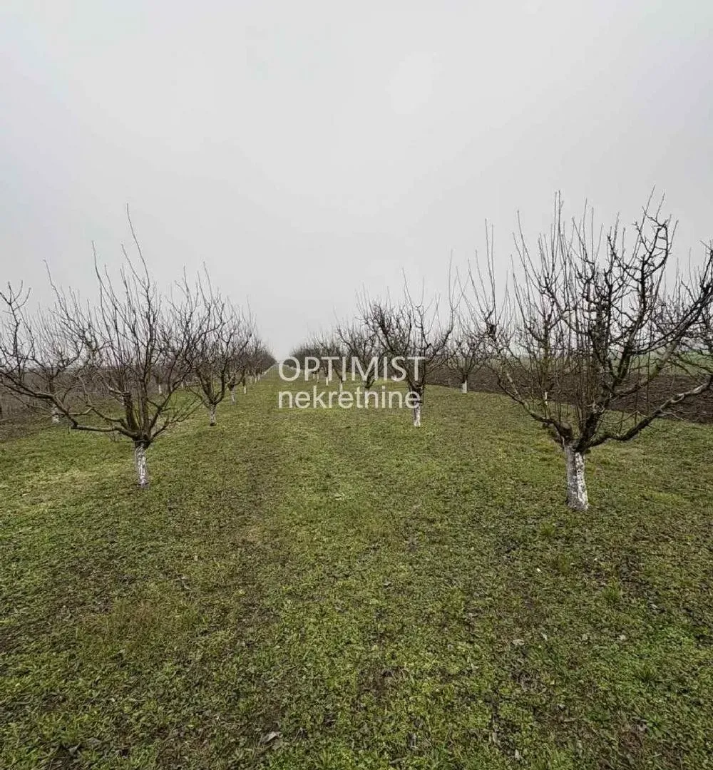 Prodaja, plac, 11000m², Zemun Ugrinovci, Zemun Sve Podlokacije
