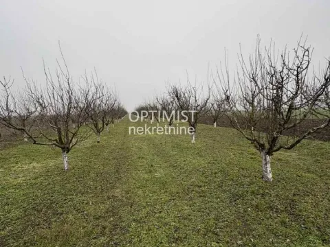 Sale, land lot, 11000m², Zemun Ugrinovci, Zemun Sve Podlokacije - image 16