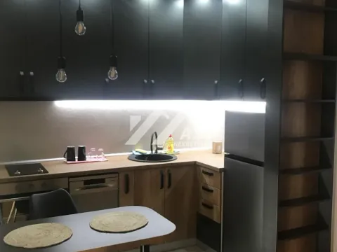 Izdavanje, dvosoban stan, 50m², Centar, Novi Sad - image 3