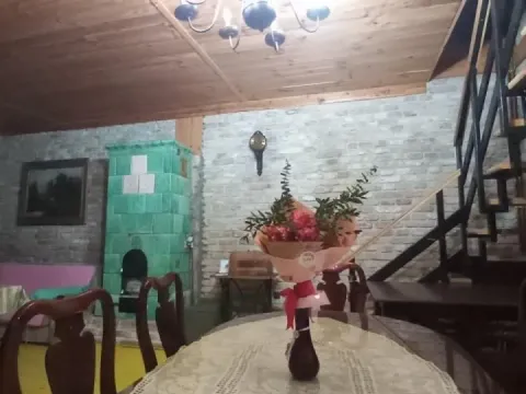 Sale, house, 367m², Irig, Srbija - image 6