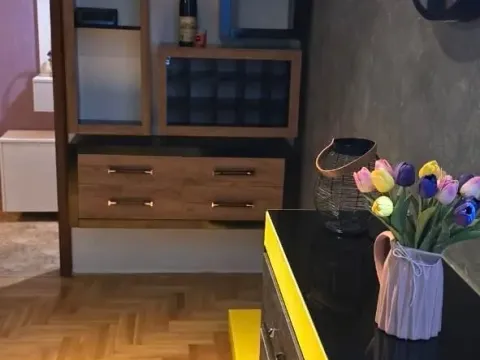 Izdavanje, jednosoban stan, 44m², Zabjelo, Podgorica - image 2