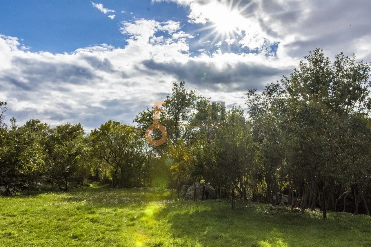 Prodaja, plac, 36246m², Danilovgrad, Crna Gora
